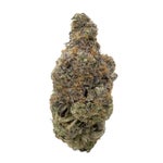 MintChocolateChip-Hoot-07