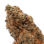 MysticCannabis-Space-Cake-01