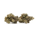 RainbowRuntz-Hoot-07