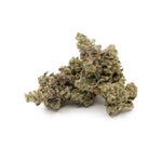 RainbowRuntz-Hoot-07