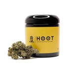 RainbowRuntz-Hoot-07