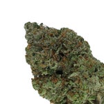 SuperDank-TomFordPinkKush-01