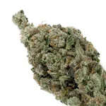 ThinMint-03