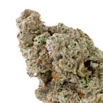 ThinMints-CreamoftheCrop-03