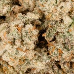 ThinMints-CreamoftheCrop-03