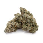 TriplePastry-Albatross-07