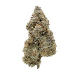 TriplePastry-Albatross-07