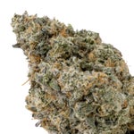 TriplePastry-Albatross-07