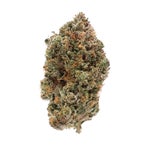 Albatross-Black-Tuna-01