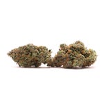 Albatross-Black-Tuna-01