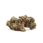 Albatross-Black-Tuna-01