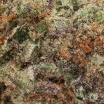 Cream-of-the-Crop-Strawberry-Milk-01