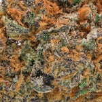 Lucky-Farms-Berry-OG-01