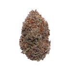 Lucky-Farms-Black-Domina-01