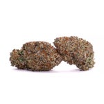 Lucky-Farms-Black-Domina-01