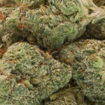 Lucky-Farms-Rockstar-01