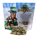 Lucky-Farms-Rockstar-01