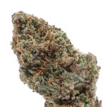 Superdank-Cannoli-01