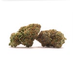 JungleRidge-Pink-Kush-04