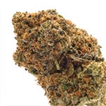 JungleRidge-Pink-Kush-04