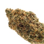 Superdank-MK-Ultra-01