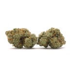 bag-dollar-treez