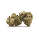 bag-dollar-treez