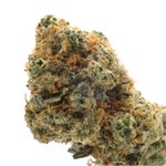 bag-dollar-treez