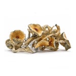 Amazeballs-Skinny-Golden-Teachers-01