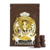 Alice – Mushroom Milk Chocolate (2500mg)