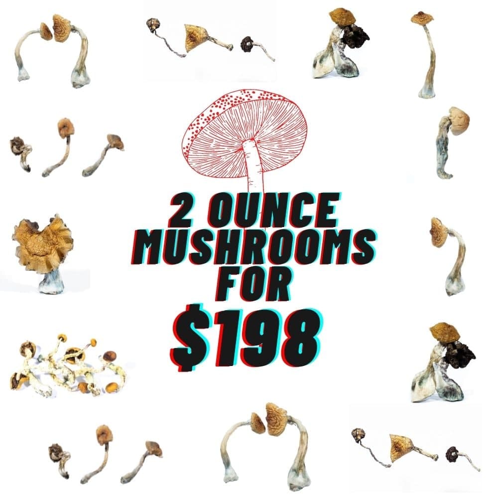 2 Oz Magic Mushrooms – Mix and Match