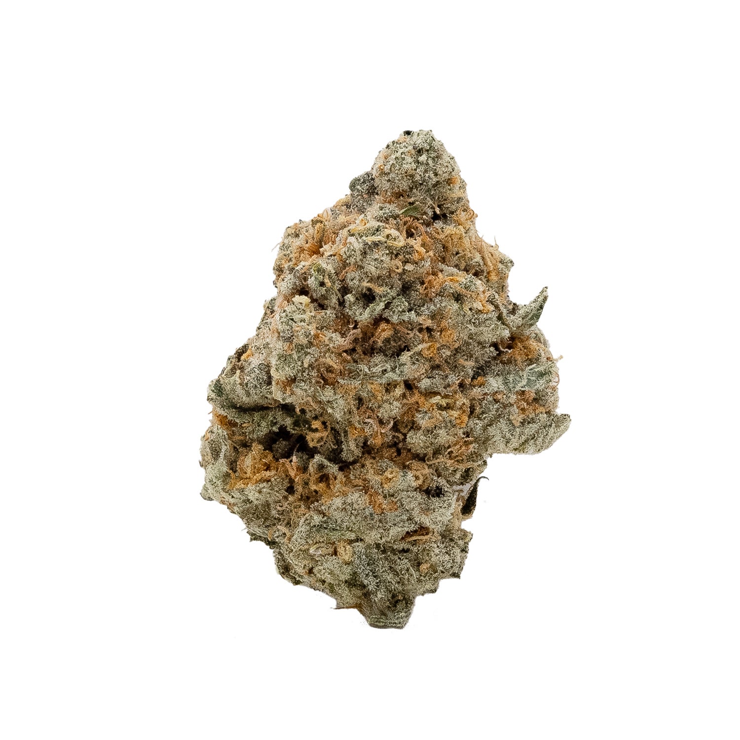 Lucky Farms – G-13