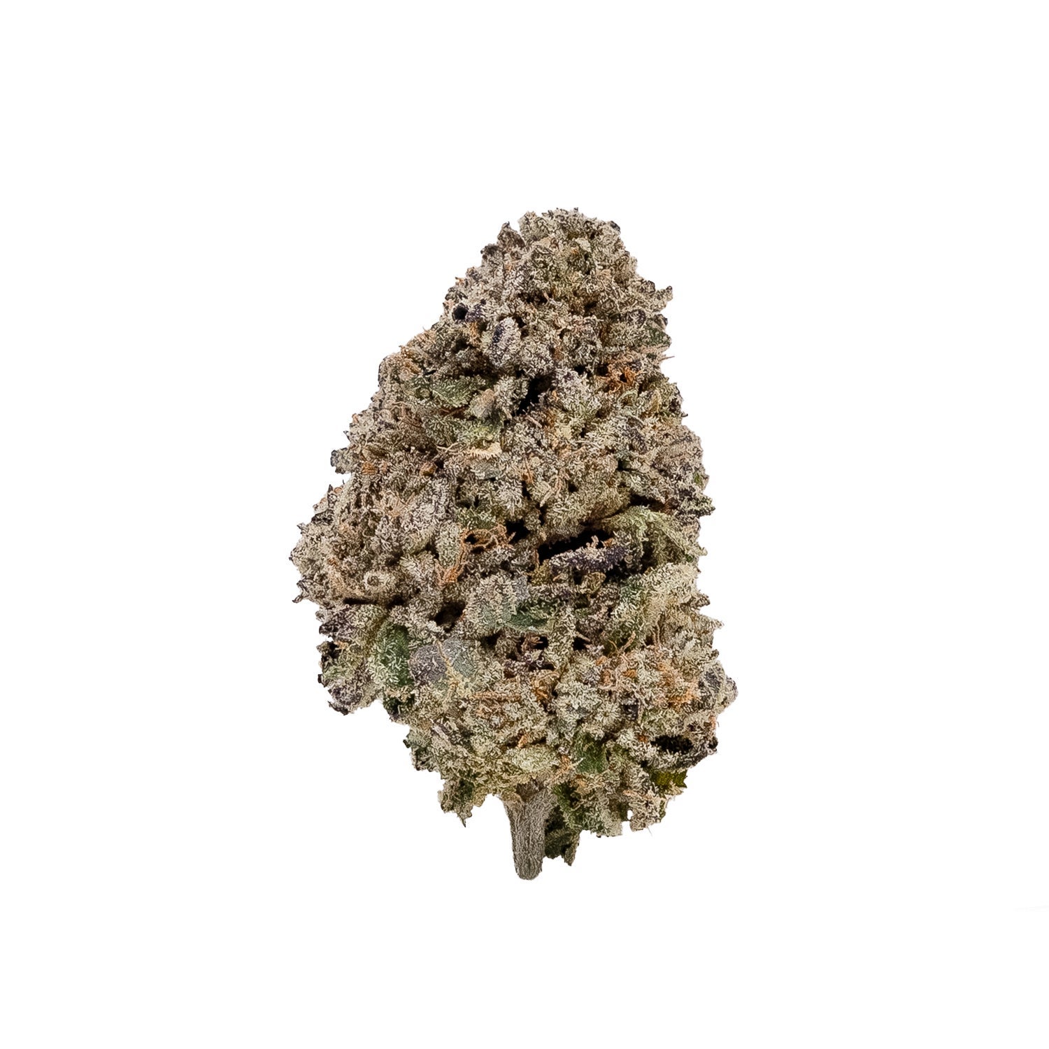 Mystic Cannabis – Bluefin