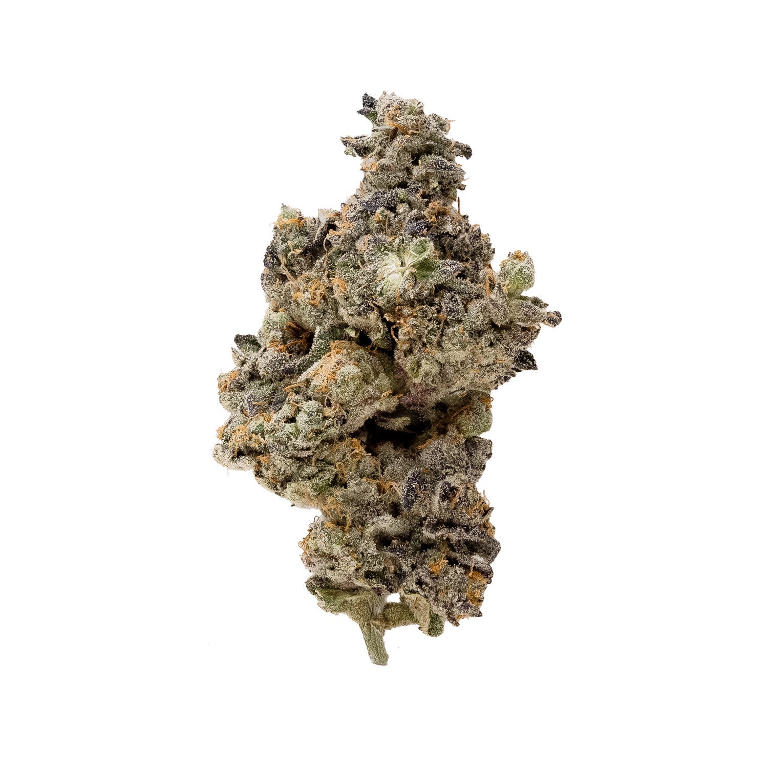 Vibrant Cannabis – Forbidden Dream