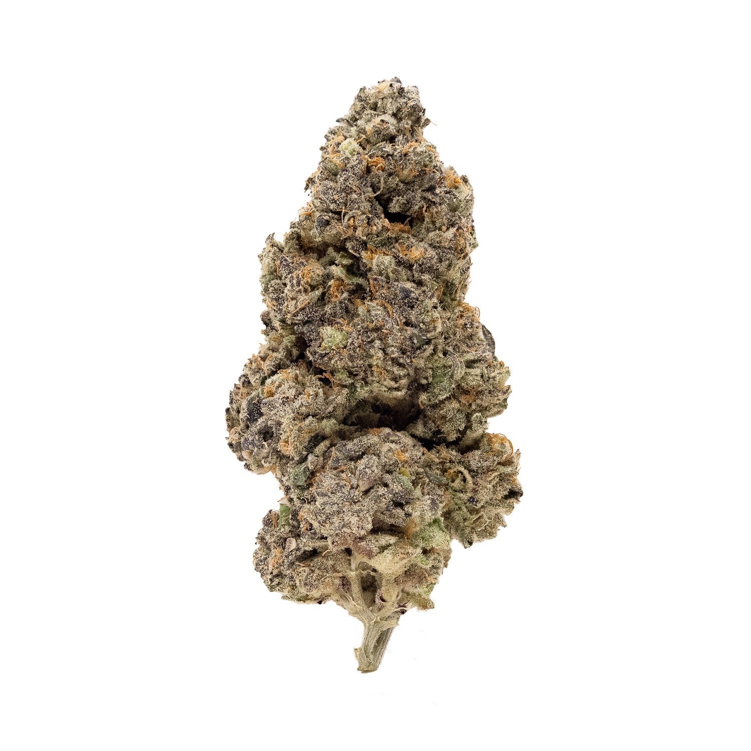 Fun Buds – Vice City