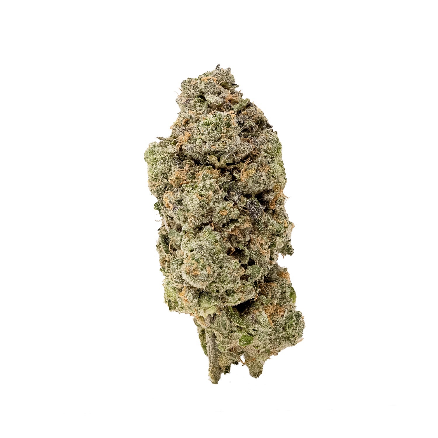 Vibrant Cannabis – Twizzle Dance