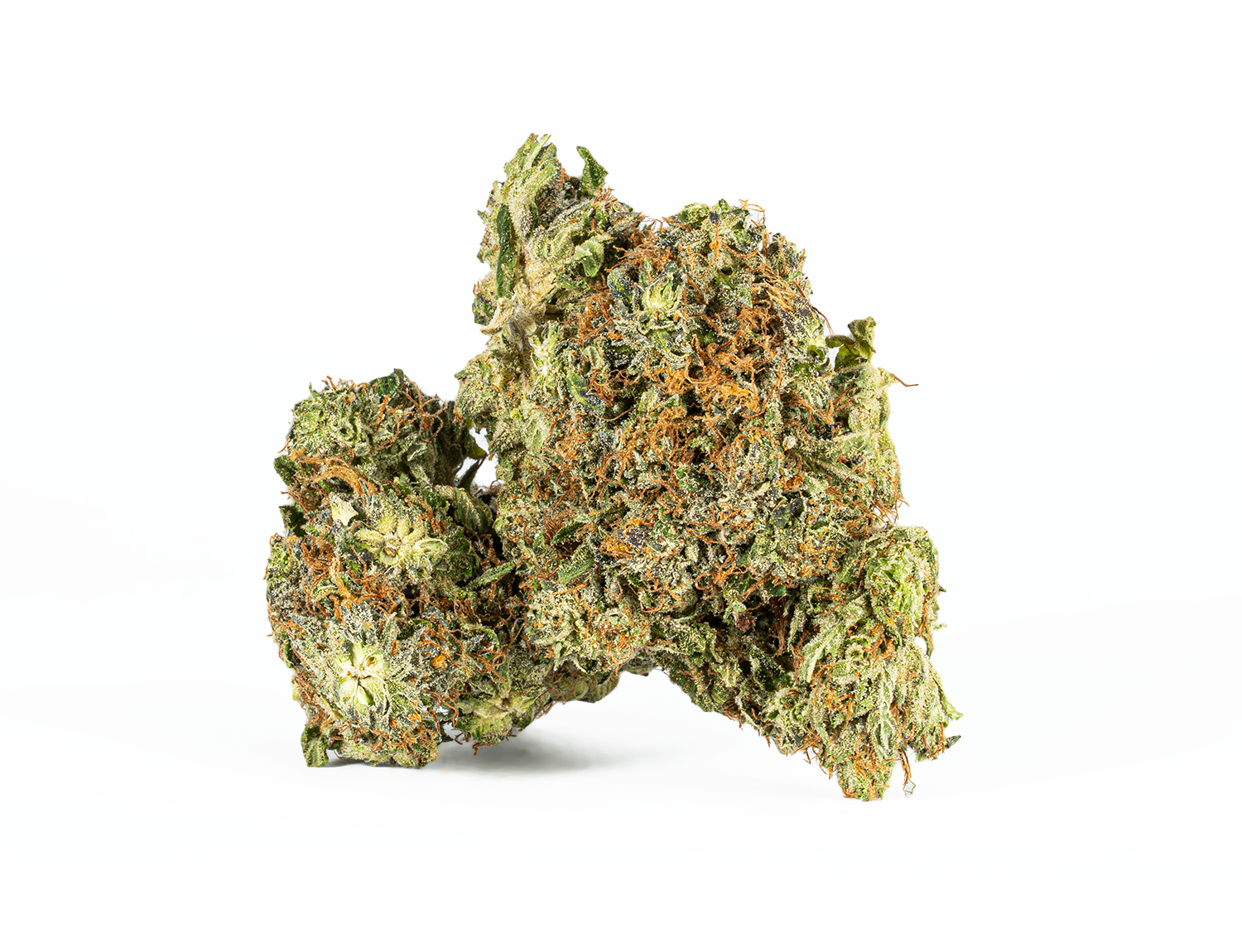 BC Legacy – Ace Killer OG
