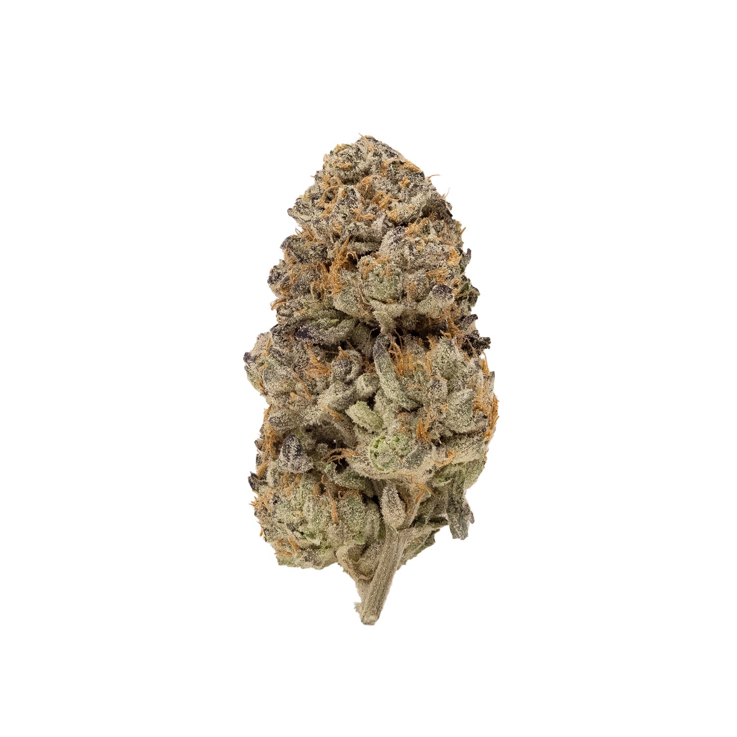 Cream Of The Crop – Animal Mintz