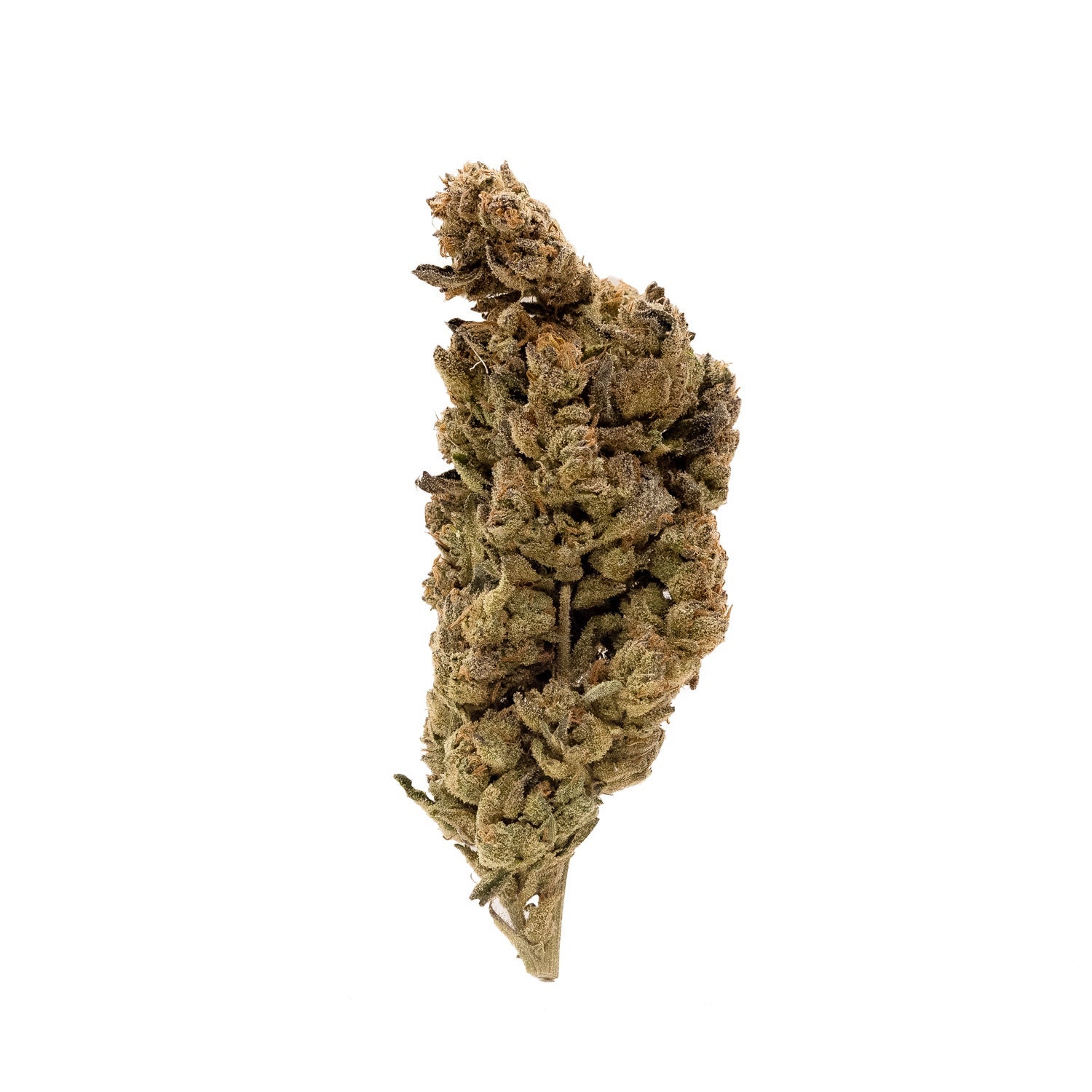 People’s Choice – Gas Mask