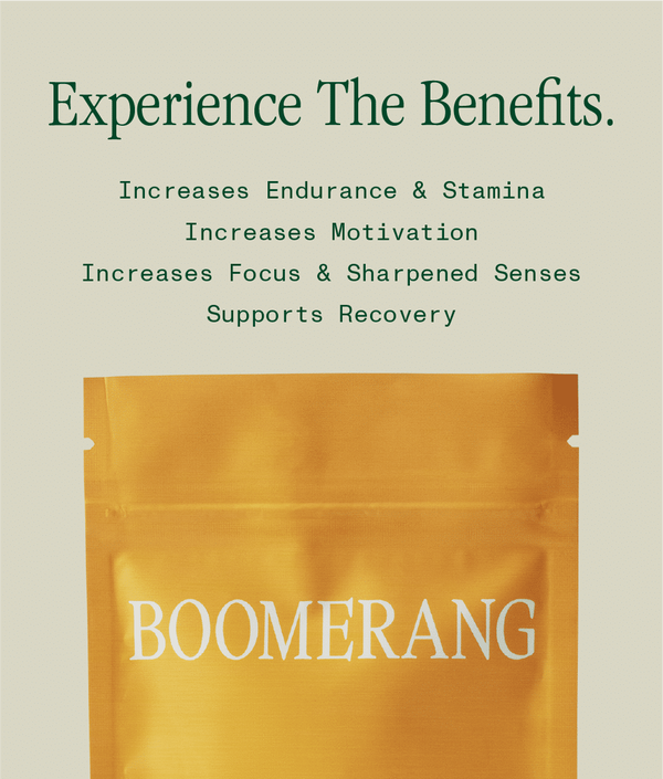 Boomerang - Image 3