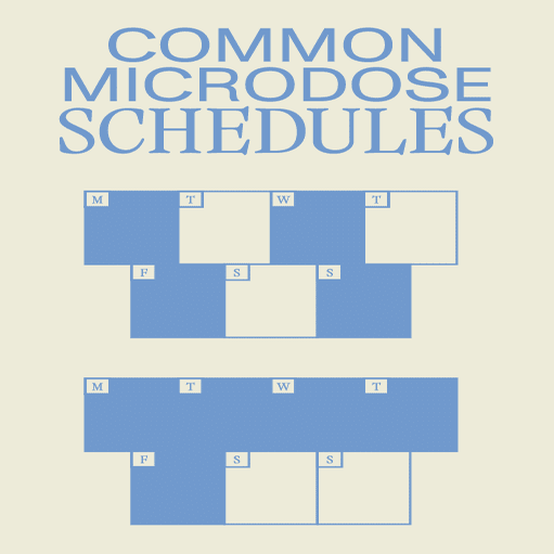 magic mushroom microdosing schedule