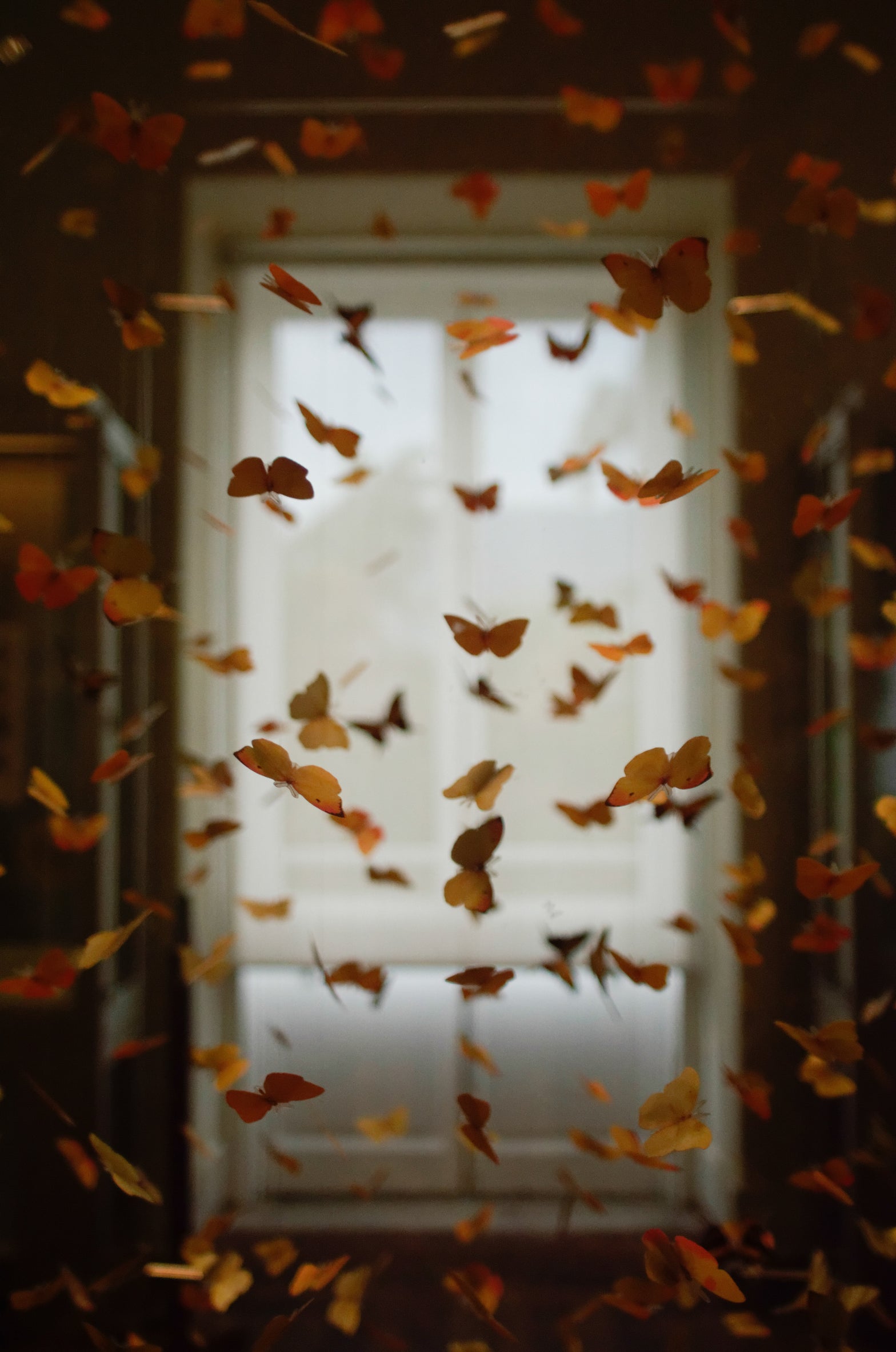 integration as a tool for transformation with magic mushrooms