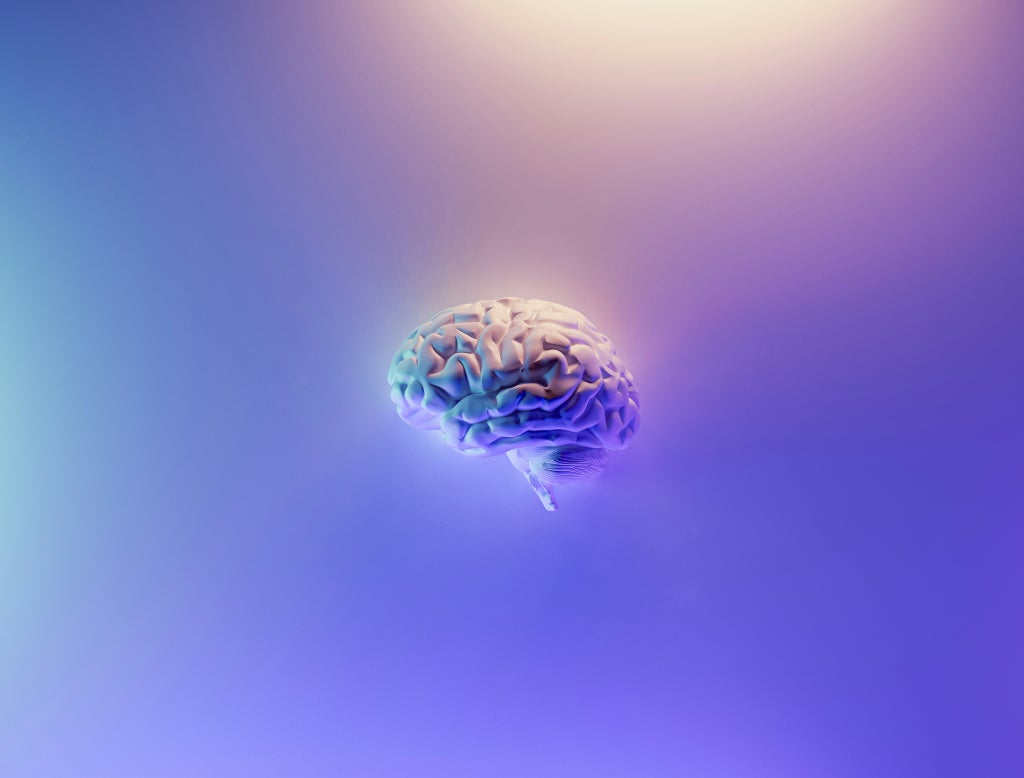psilocybin and brain changes