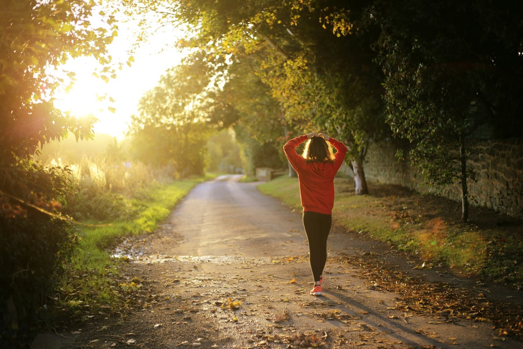 adding magic mushrooms to your movement routine