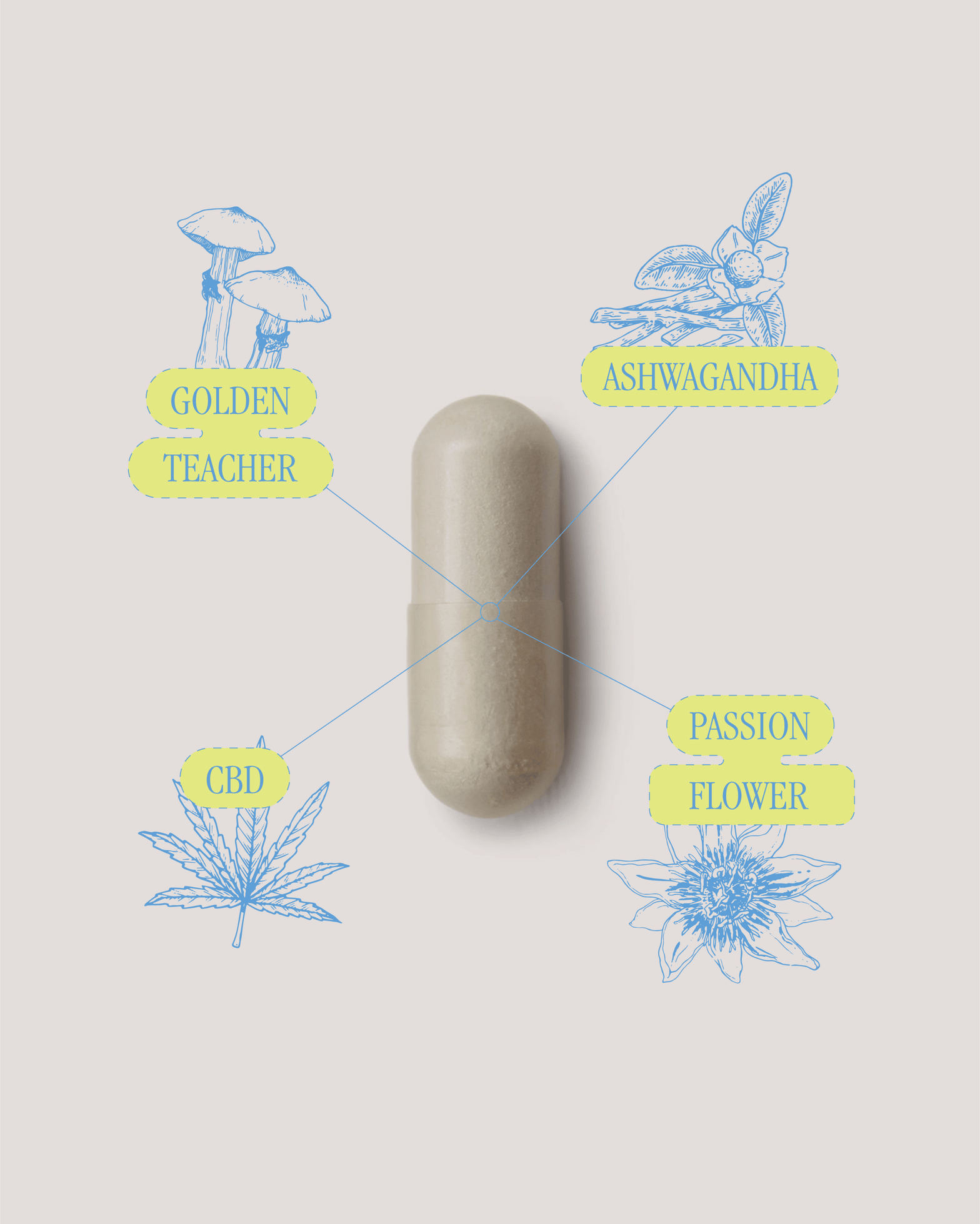 magic mushroom capsules for anxiety - lite brite ingredients include passion flow, cbd, golden teacher and ashwagandha