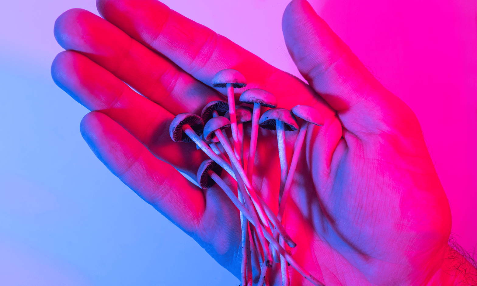 psilocybin for fitness featuring boomerang by sero