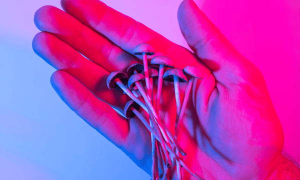 psilocybin for fitness featuring boomerang by sero