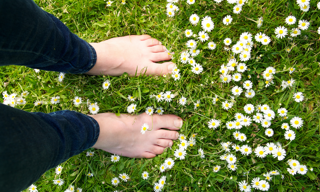 natural anxiety relief in Lite Brite's magic mushroom capsules by Sero
