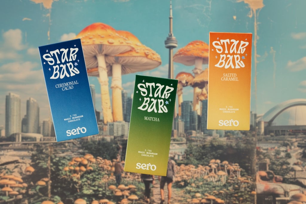 star bar magic mushroom chocolate collection with toronto skyline in the background