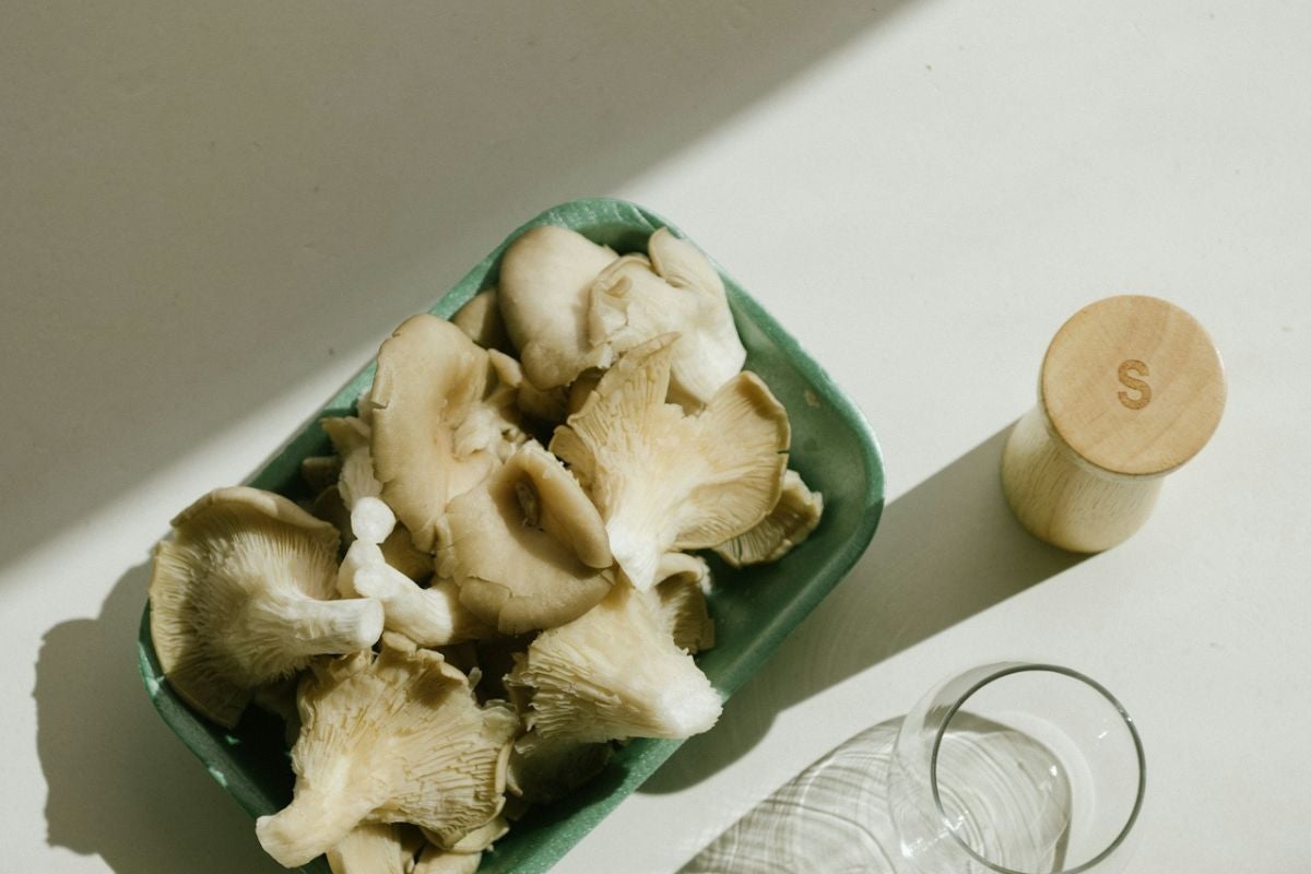 how to eat magic mushroom chocolate